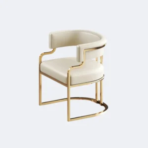 Chaises de salle à manger uniques de styliste